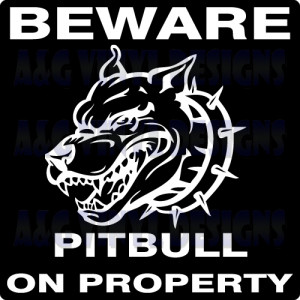 Beware Pitbull Property