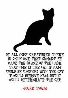 Cat Quote by Mark Twain Framed Artwork by TheWordAssociation More