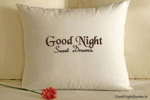 Its time to say good night real world, Hello dream world.