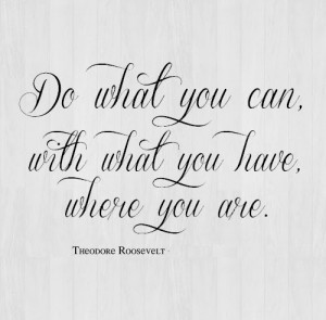 ... you can, with what you have, where you are ~Theodore Roosevelt Webs