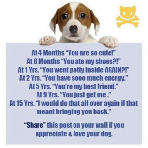 if you once loved a dog you will appreciate this one