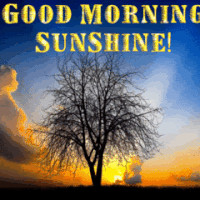 good morning sunshine quotes photo: Good Morning Sunshine ...