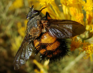 Funny Quotes Contact Dmca