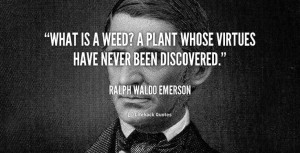 ... have never been discovered. - Ralph Waldo Emerson at Lifehack Quotes