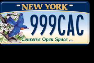 665 x 450 · 253 kB · png, New York State DMV