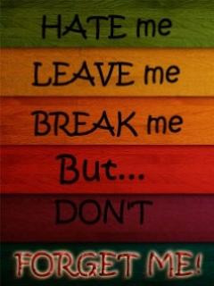 Hate Me Leave Me Break Me But Dont Forget Me !!