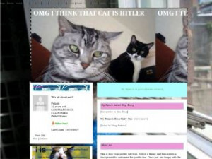 Searched for Kitty Sniper Funny Cats MySpace Layouts