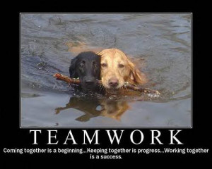 funny inspirational teamwork quotes