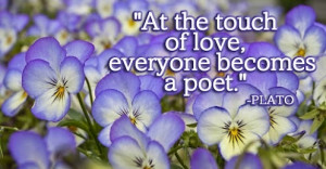 ... poet. #Love #Poets View more quotes at http://quotes-lover.com