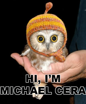 cute, eyes, hat, lol, michael cera, owl, text