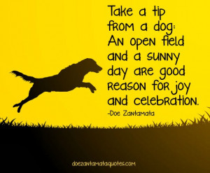 Take a tip from a dog: