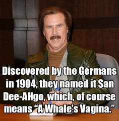 ... Ron Burgundy, 2004 | 13 Will Ferrell One-Liners We All Know And Love