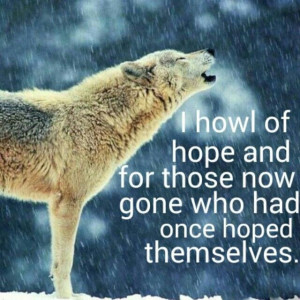 Wolf #howl #peace