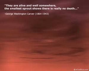 George Washington Carver quote