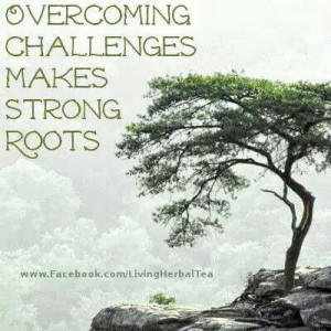 ... growth Motivation Jesus Christ Christian Bible Celebrate Recovery