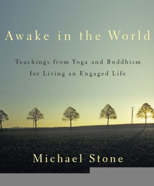 G20 Dharma: a Yoga & Buddhist teacher & psychotherapist on nonviolence ...