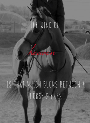 the wind of heaven is that which blows between a horse's ears