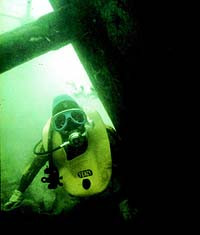 Shows Underwater Photograph...