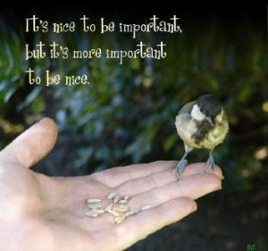 Sentimental Quotes on Life