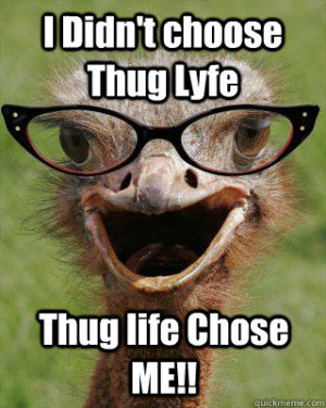 Thuglifechoseme
