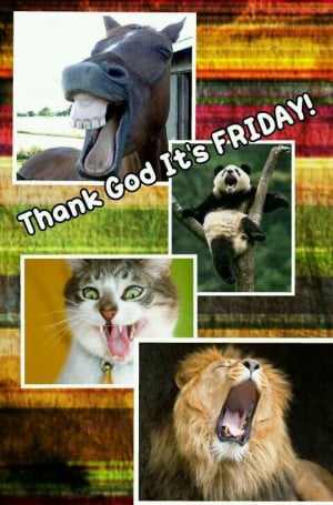 Thank god it's Friday!