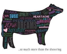 show cow quote show cattle more cows cattle cows quotes cattle 3 ...