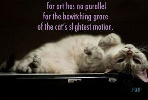 ... The Bewitching Grace Of The Cat’s Slightest Motion. ~ Cats Quotes