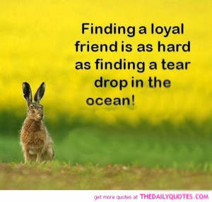 ... friend-quote-friendship-best-friends-quotes-sayings-pictures-pics.jpg