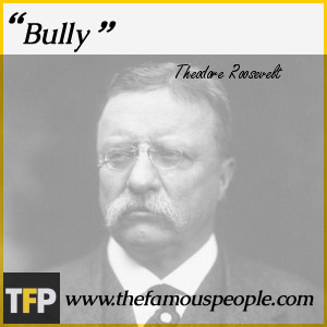 Theodore Roosevelt Biography