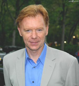 David Caruso Quot Les...