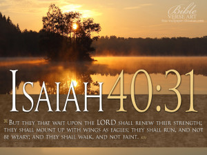 But they that wait upon the LORD shall renew their strength; they ...