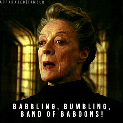 Professor Mcgonagall - professor-mcgonagall Photo