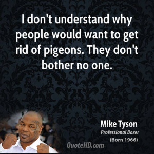 don't understand why people would want to get rid of pigeons. They don ...