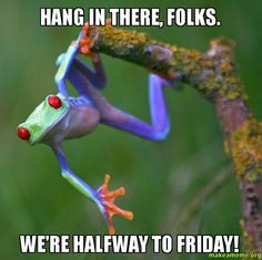 are halfway to Friday quotes memes quote meme friday days of the week ...