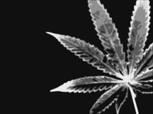 File Name : Marijuana Wallpaper 1600×1200
