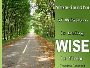 Nine-tenths of wisdom is being wise in time