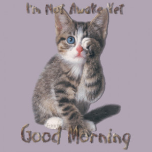 Funny Good Morning by sweet Cat