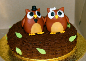 Owl Nest Baby Shower Cake...