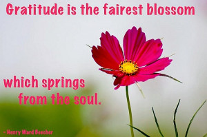 Gratitude is the fairest blossom which spring from the soul. – Henry ...