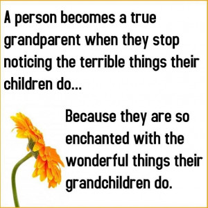 Love Grandpa Bib And Grandma