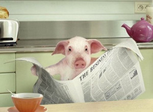 Funny Animal Read Paper