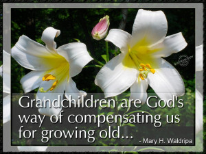Grandchildren are God’s way of compensating us…
