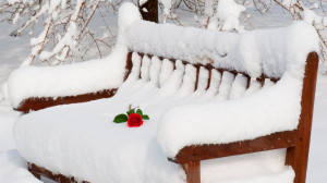 By: leo Category: Winter Resolution: 1920x1080 Views: 648