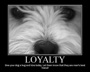 Loyalty Give Your Dog A Hug And Kiss Today Let Them Know That They Are ...