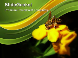 Honey Bee Collecting Pollen Nature PowerPoint Templates And PowerPoint ...