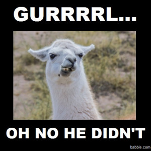 Therapy Llama does not want you to put up with his nonsense. You ...