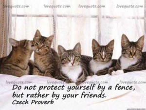 Fabulous Friendship Quotes and Sayings