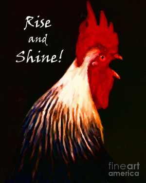 Rise And Shine Rooster...