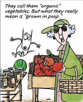 Cartoon Maxine Organic Vegetable Spring Summer Garden Gardening LOL ...