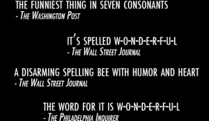 Annual Adult Spelling Bee